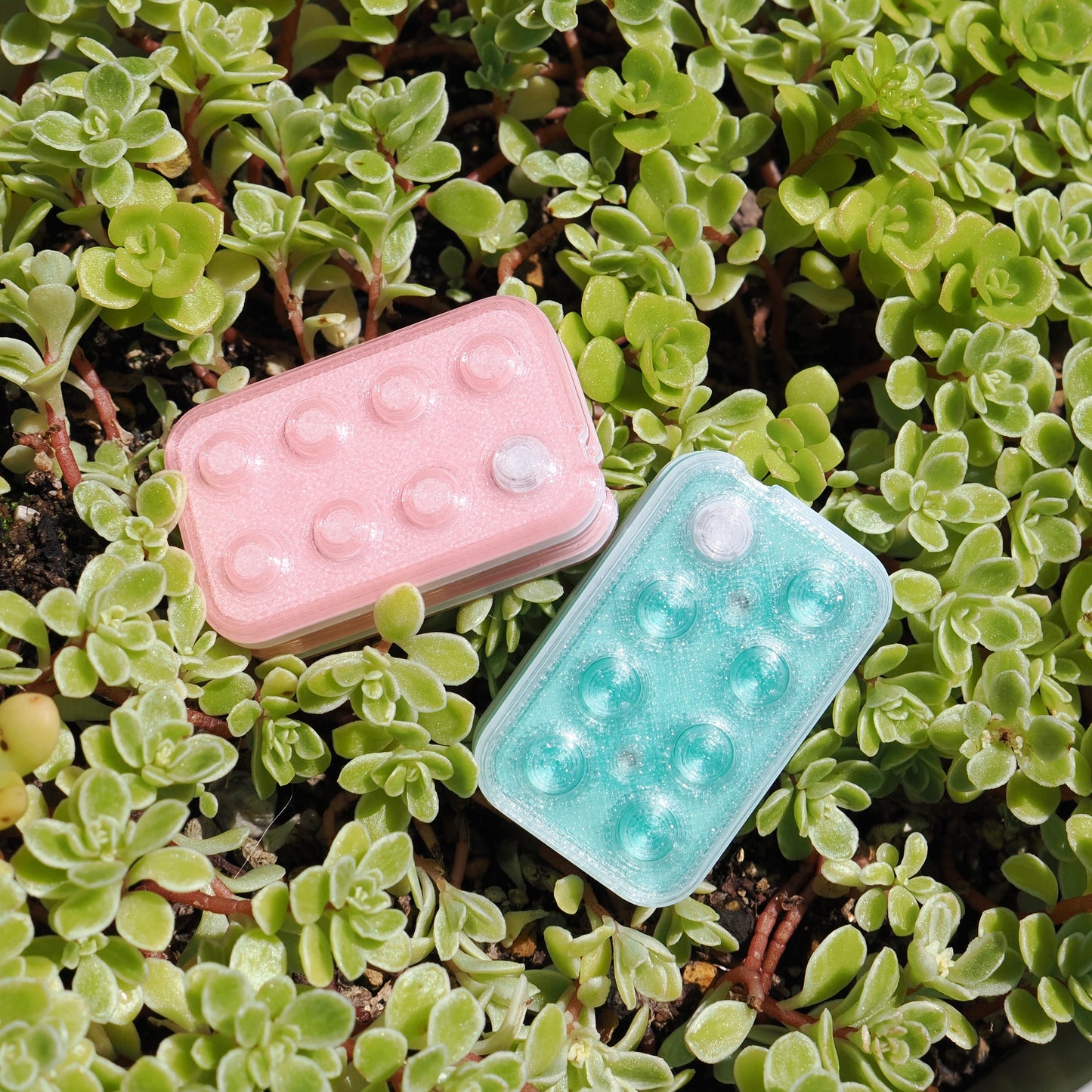 PuchiCon Classic – Ice Teal