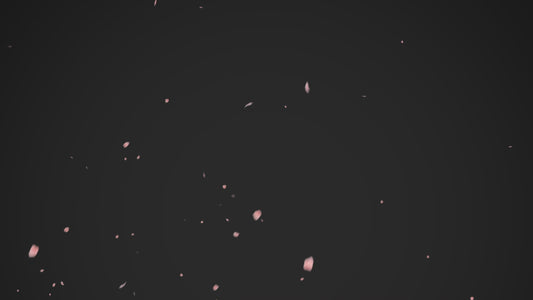 PuchiCon Slider 1st Anniversary Edition – Fuji / Galaxy Blue (Limit 1 per person)